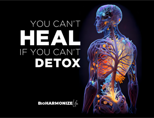 You Can’t Heal If You Can’t Detox