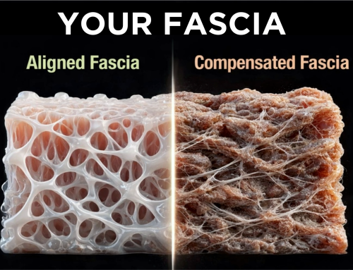 The System Under Your Skin: Why Most 50+ Bodies Aren’t Breaking — They’re Being Trained Wrong