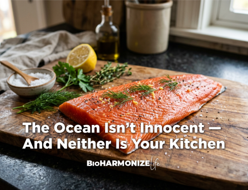The Ocean Isn’t Innocent — And Neither Is Your Kitchen