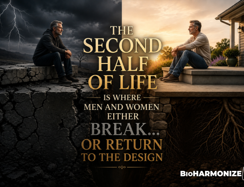 THE SECOND HALF OF LIFE